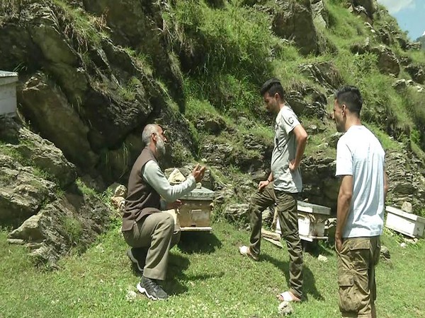 J-K all set to become 'honeybee tourism' destination
