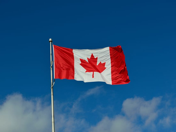 Pandemic could cost city $1.4B in tourism this year