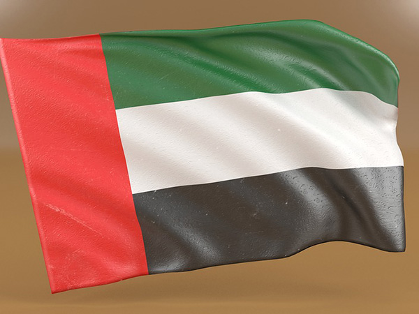 Top diplomats of S. Korea, UAE to hold talks in Seoul