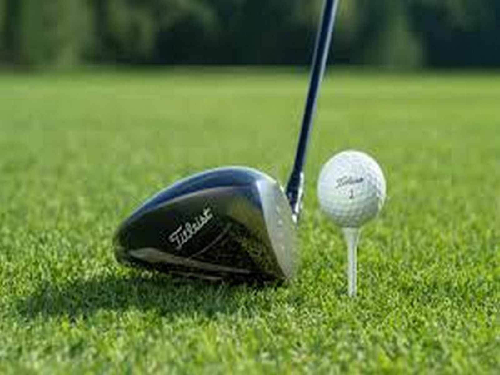 Qatar Open Amateur Golf tees off today