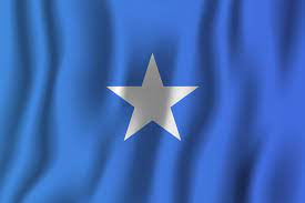 Suicide bomb kills 14 soldiers in Somalia
