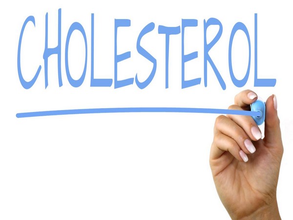 Good cholesterol may protect liver: study