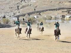 Al Shaqab Arabian horse show kicks off today