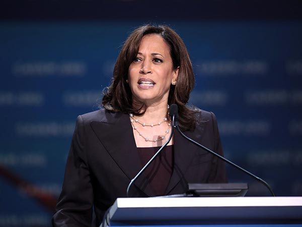 Kamala Harris slammed for tweet sucking up to small businesses after bailing out rioters