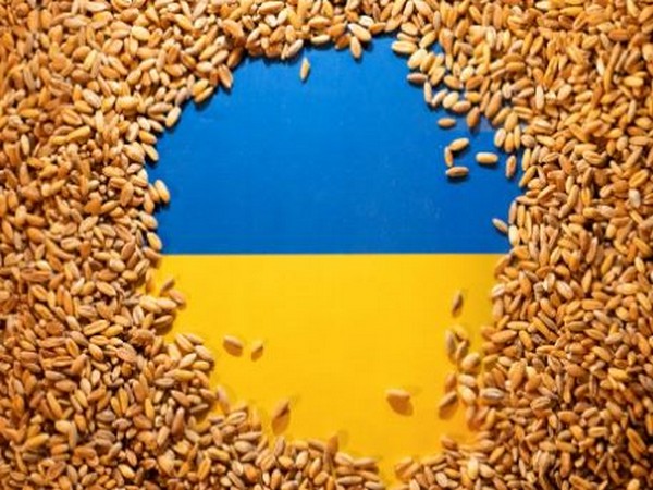 Poland bans Ukrainian grain import