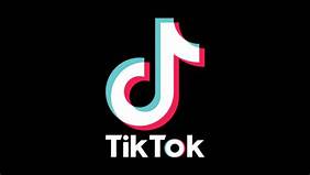 TikTok stars Bryce Hall, Jaden Hossler arrested for drug possession: reports