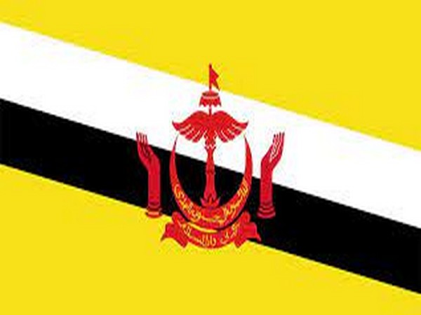 Brunei launches directive on mandatory greenhouse gas reporting