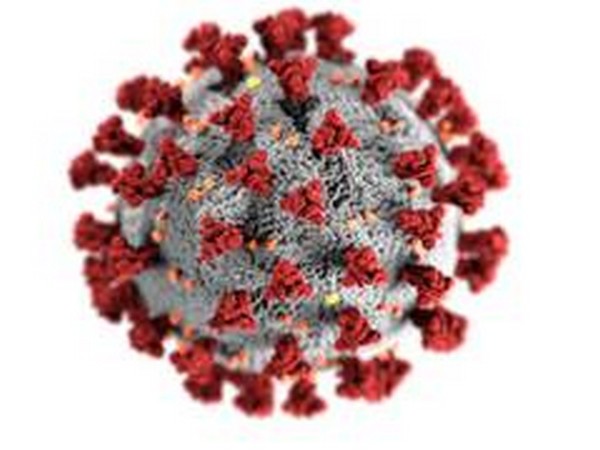 Famous Chinese virologist warns of another coronavirus