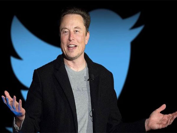 Musk hints Twitter bird branding could be replaced
