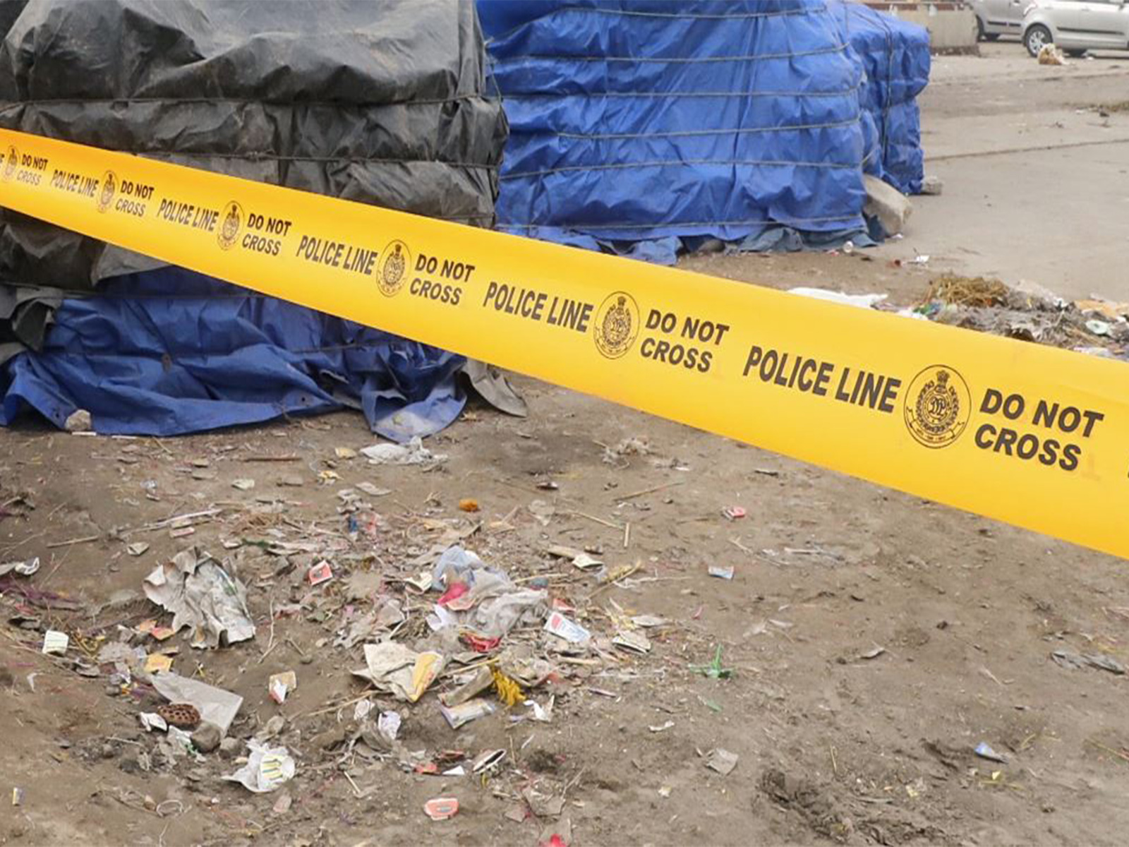 Trump says 'won't use force' to acquire Greenland at Davos