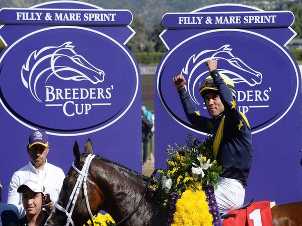 Breeders' Cup horse named 'Covfefe' wins $1M race
