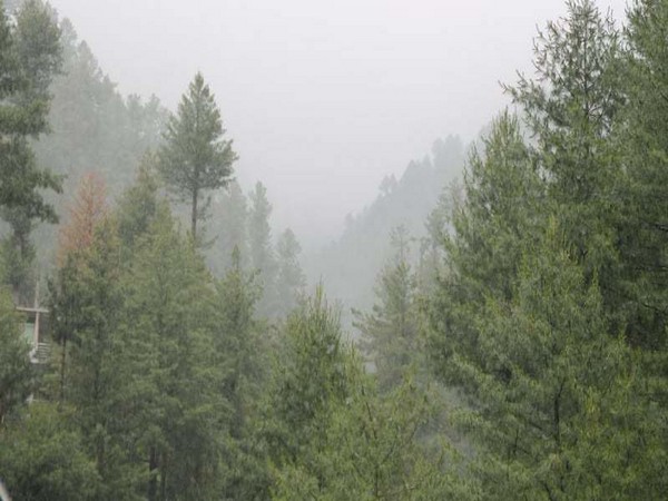 KP government opens its Nathiagali rest houses to public