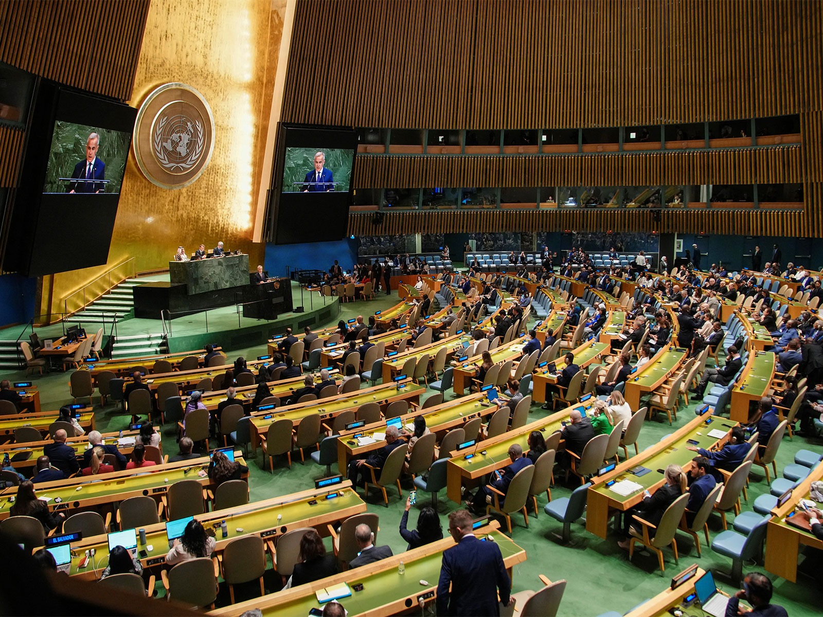 Representative image