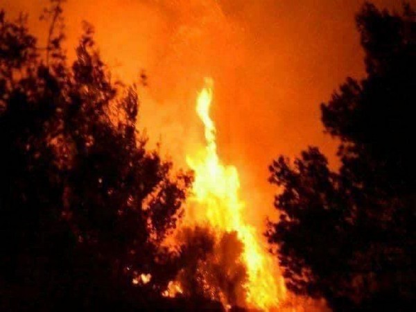 Wildfires, extreme weather grip Italy