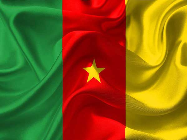 Cameroonian peacekeeper dies, four others injured in CAR road accident