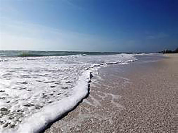 Florida police officer drove over 66-year-old beachgoer, investigators say