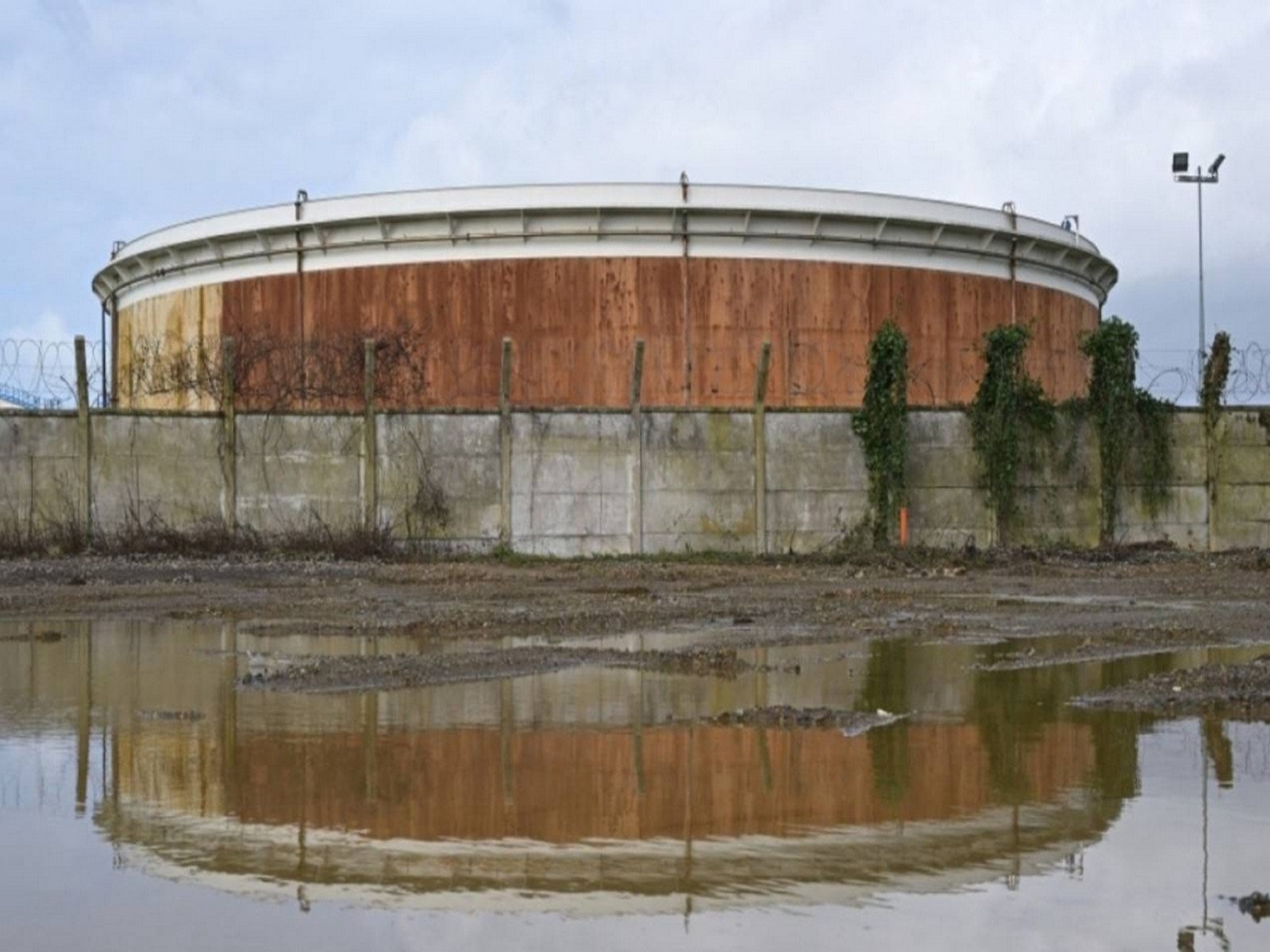 Representative image