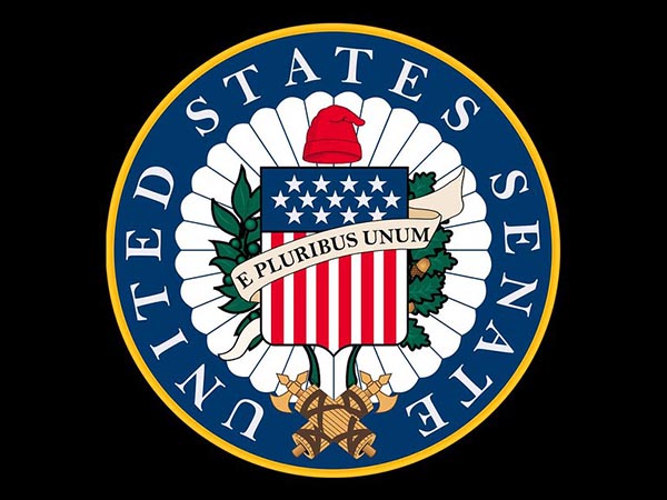 U.S. Senate passes 1.9-trln-USD relief bill after marathon overnight session