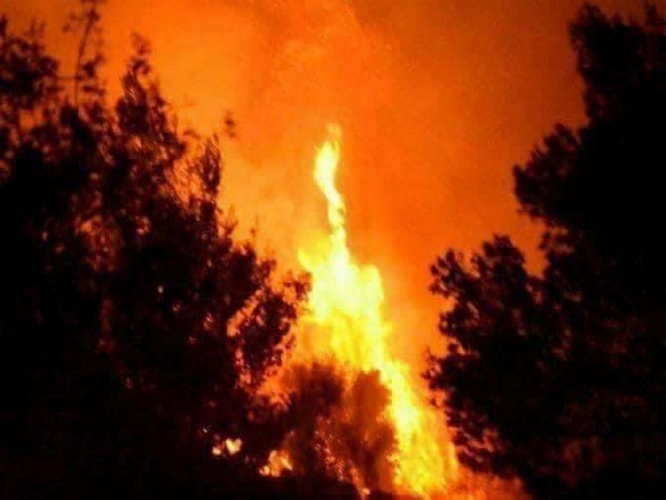 Greek firefighters control wildfires near ancient site of Olympia