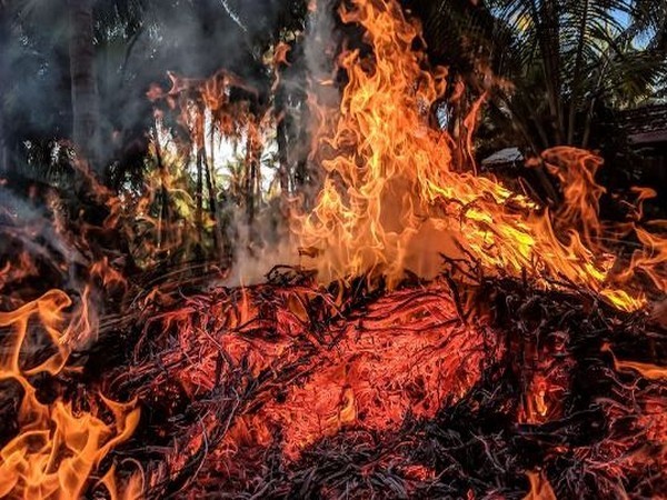 Palisades fire in Los Angeles destroys 1,000 structures; no containment