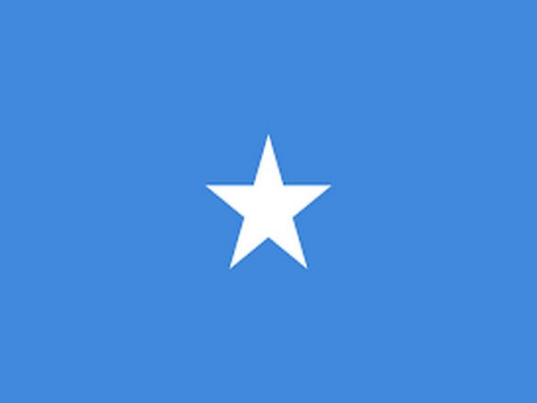 Over 100 al-Shabab militants killed in central Somalia