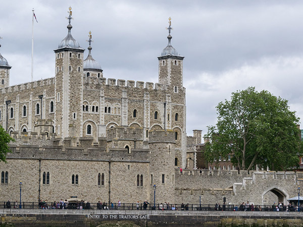 500-year-old skeletons of a woman and child discovered in the Tower of London