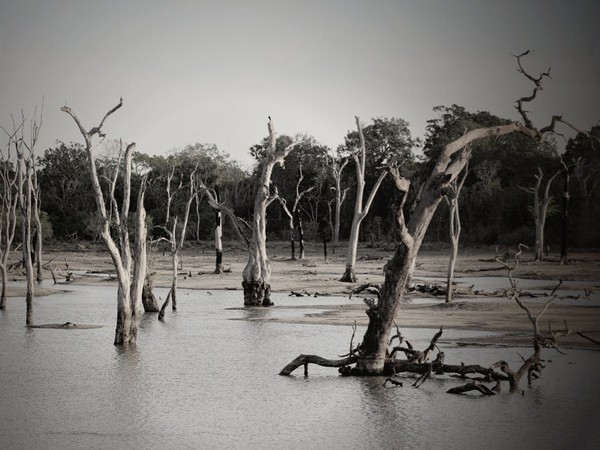 River levels rise again in flood-hit Brazilian state