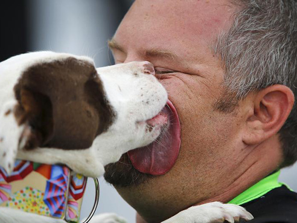 12-year-old boy drops off pit bull puppy at shelter to protect it from his abusive father
