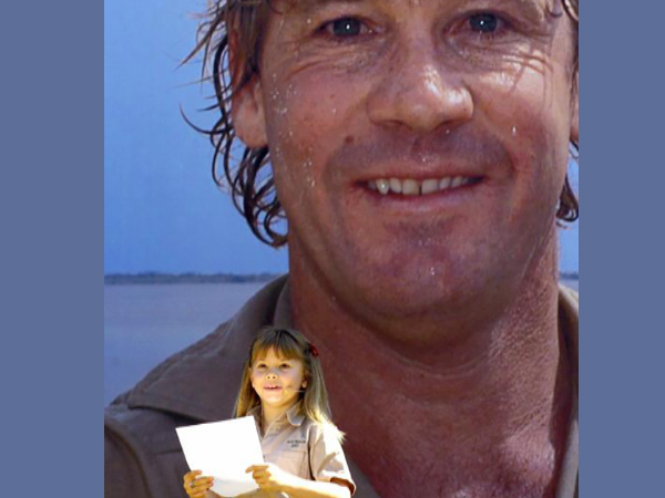 Miami Marlins apologizes after joking about Steve Irwin's death in Twitter spat with Tampa Bay Rays