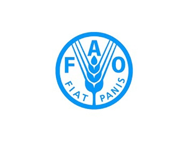 World food prices decline amid relief from restarted Ukraine grain exports: FAO