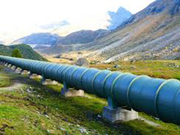 Trans Mountain received $320M in government subsidies in 2019, report finds