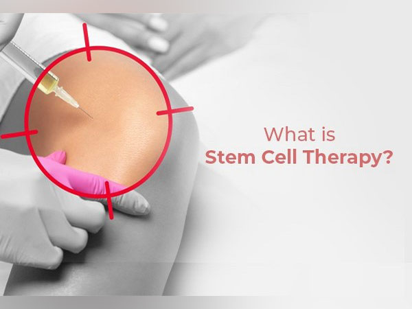 Stem cell treatment helps improve spinal cord injuries