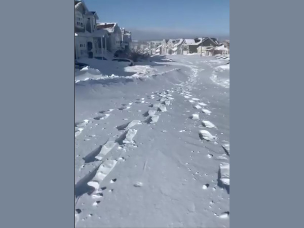 Police identify body of Newfoundland man who went missing in giant blizzard