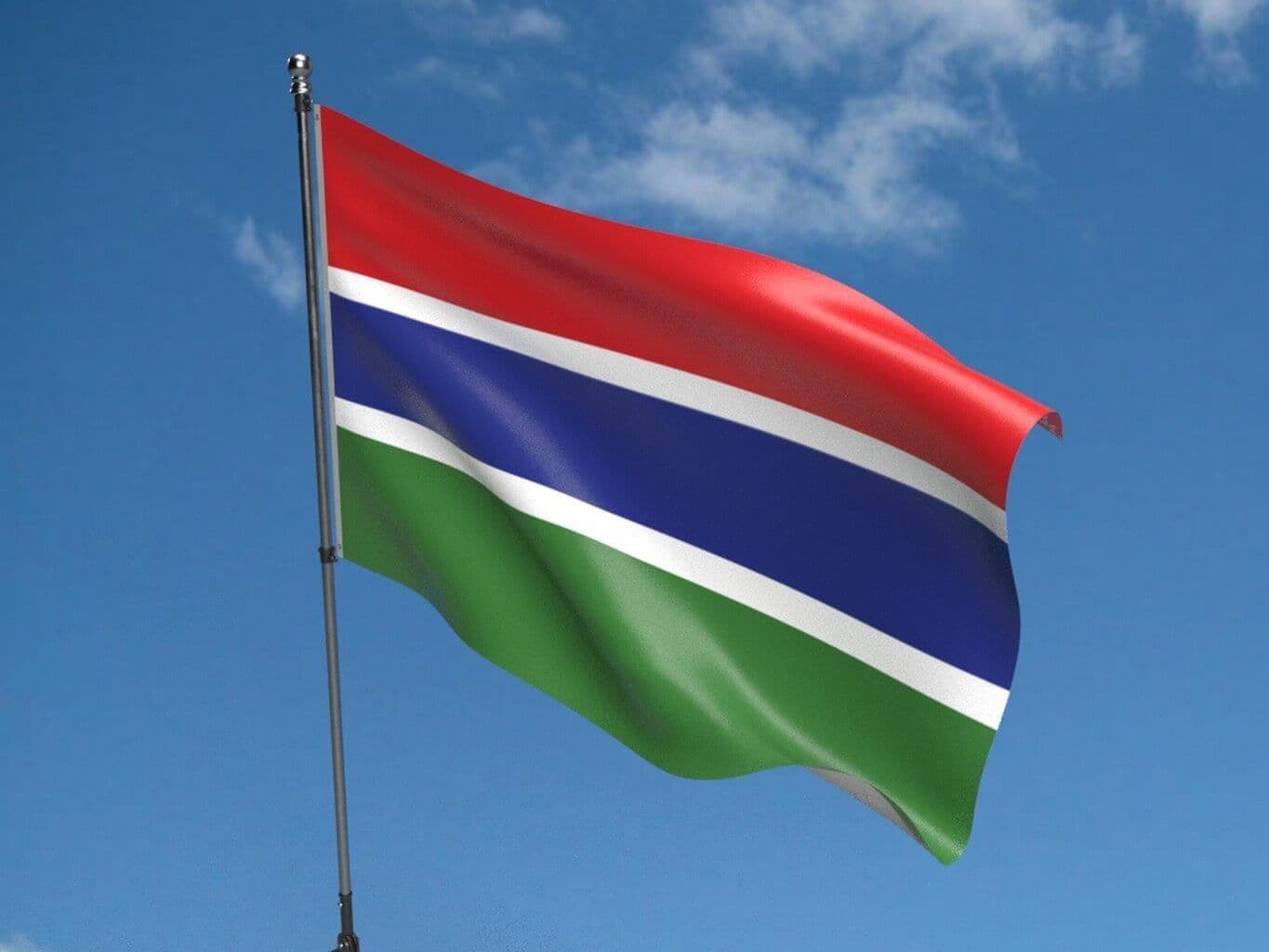 Gambia probes sale of ex-leader's luxury cars, cows and boats