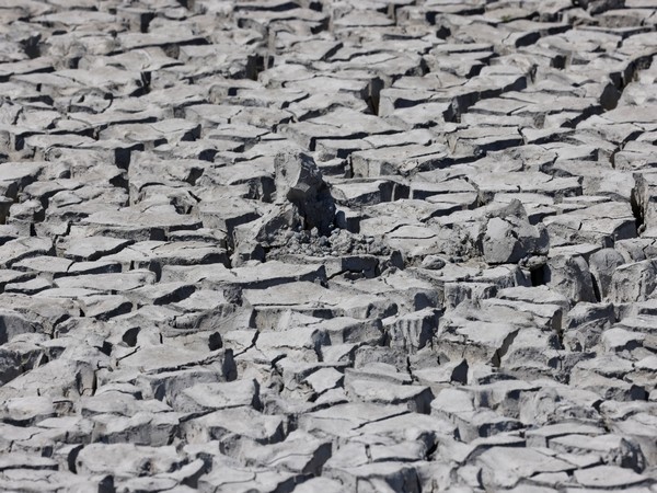 New Zealand gov't extends drought support as dry weather conditions persist