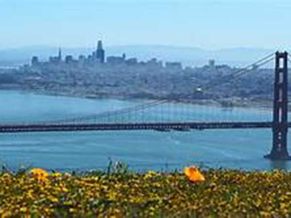 'Overpaid executive tax' going to vote in San Francisco in November