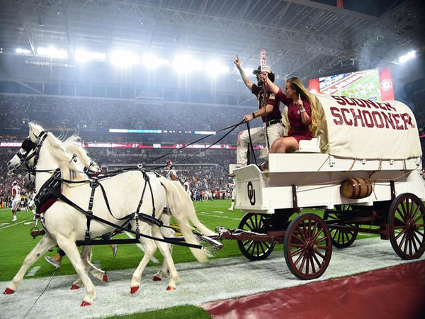 Oklahoma 'Sooner Schooner' horse-drawn wagon flips during game
