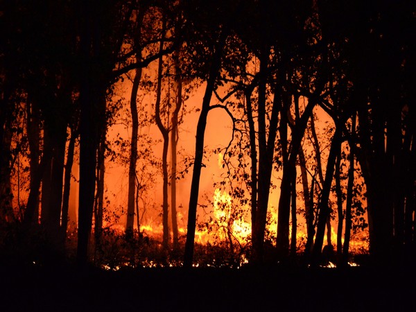 Wildfire breaks out near Comisu Peak in central Romania