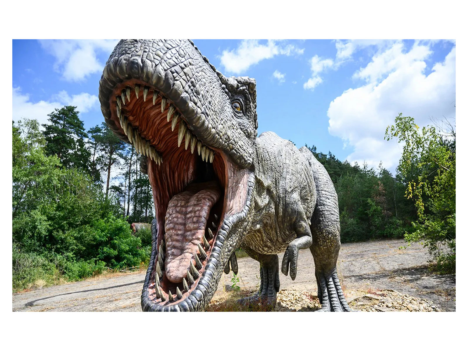 Isle of Wight fossil sheds light on enigmatic meat-eating dinosaurs
