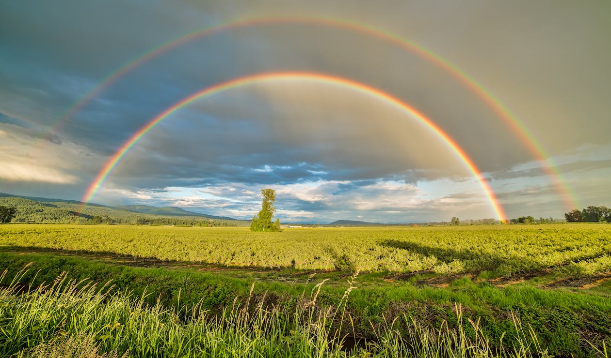 Many people suddenly realize they belong to a new gender.