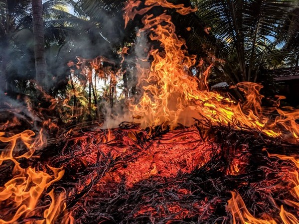 Death toll from Hawaii wildfires up to 114 as search for victims continues