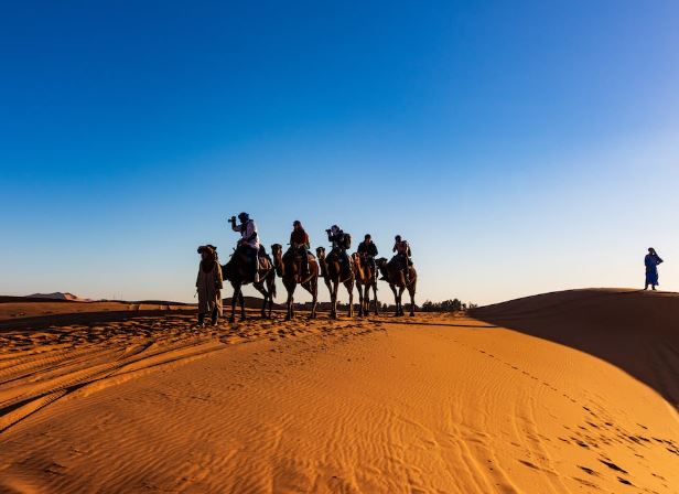 Participants of annual 'Camel Trek' arrive in Global Village following 12-day journey through UAE desert