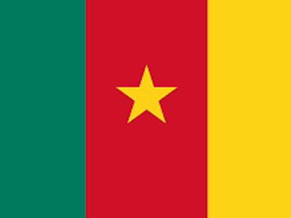 Cameroon awaits presidential poll result