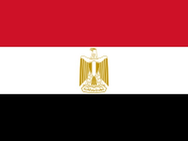 Egypt's GDP grew to over 410 bln USD