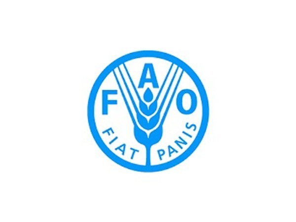 FAO seeks fund to help vulnerable people in Horn of Africa