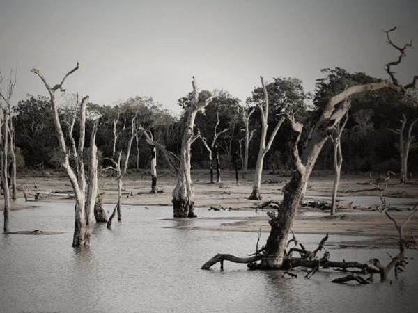 Evacuations ordered due to Thai floods