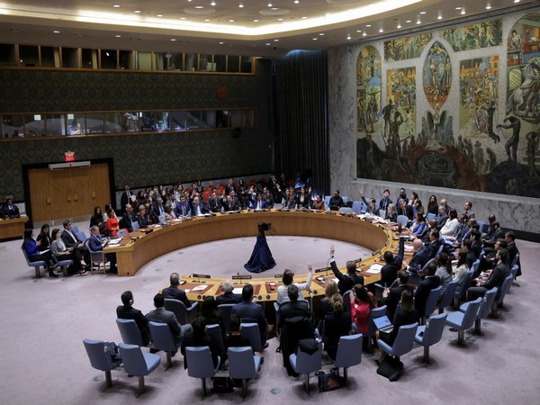 UAE welcomes UN Security Council resolution demanding immediate ceasefire in Gaza during Ramadan