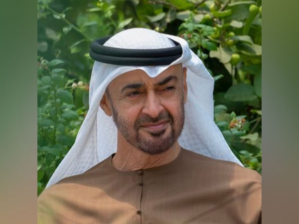 UAE President, Sheikhs, state guests attend Formula 1 Abu Dhabi Grand Prix