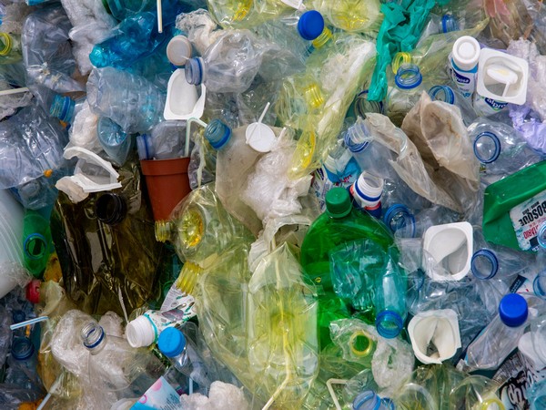 Australia's largest retail group to discontinue reusable plastic bags