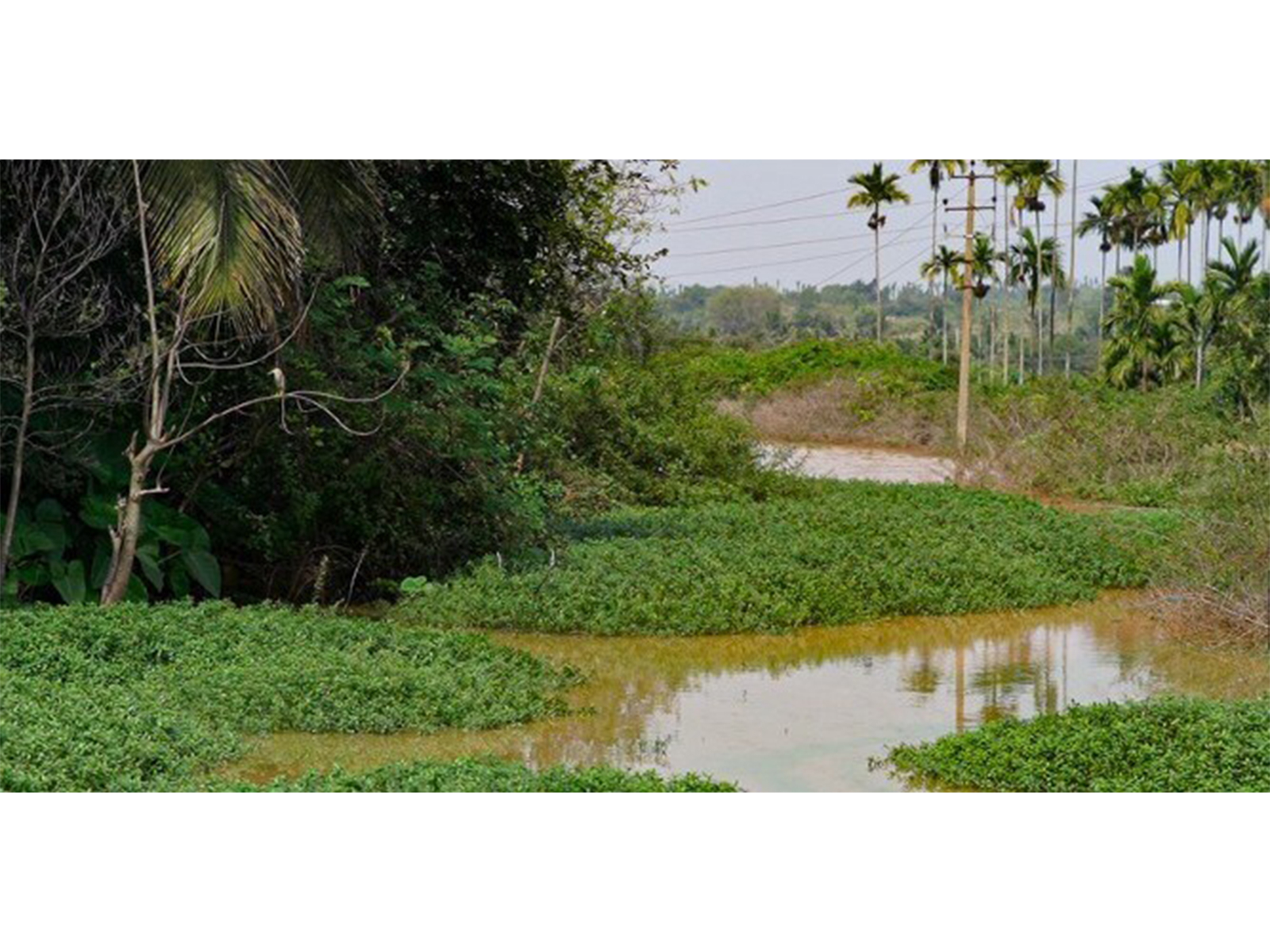 Toxic mines put Southeast Asia's rivers, people at risk